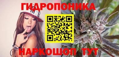 дурь Гатчина